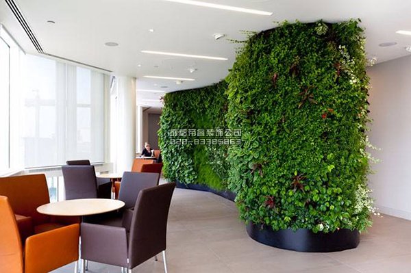 辦公室裝修完以后擺放什么綠植好？